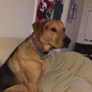 Meet your Posher, Bret